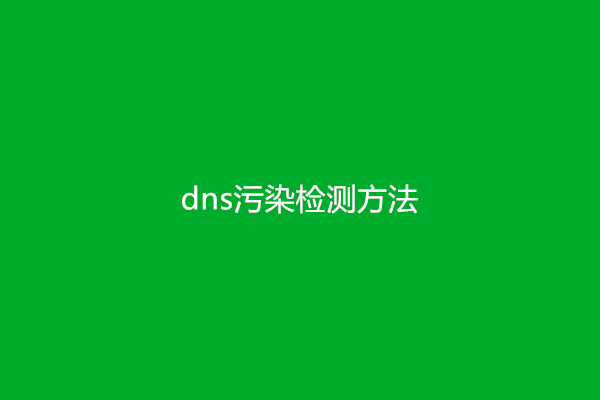 dns污染检测方法