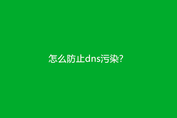 怎么防止dns污染？