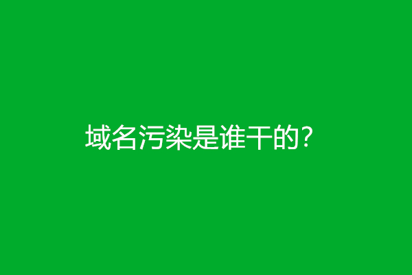 域名污染是谁干的？