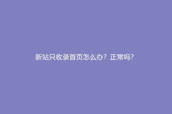 新站只收录首页怎么办？正常吗？