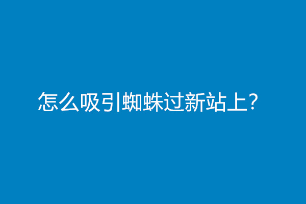 怎么吸引蜘蛛过新站上？